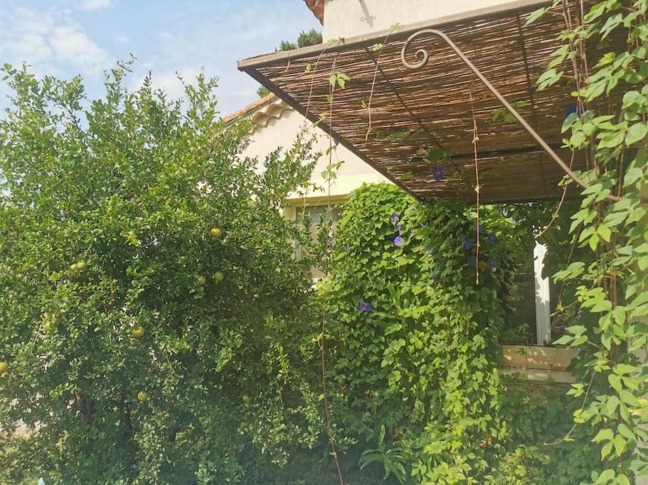 Maison Avec Piscine Dans Village Provencal. Courthézon Extérieur photo