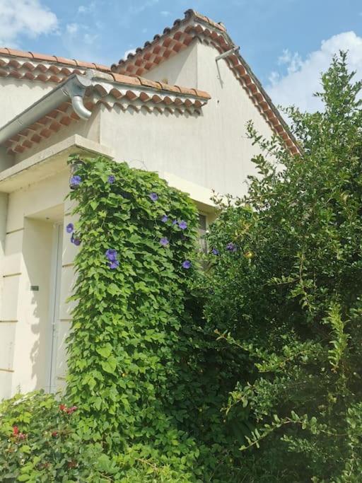 Maison Avec Piscine Dans Village Provencal. Courthézon Extérieur photo